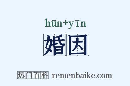 婚因是什么意思的图片